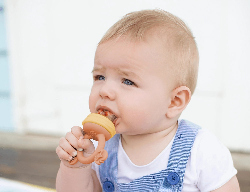Silicone Fresh Food Feeder - Caramel &amp; Mimosa