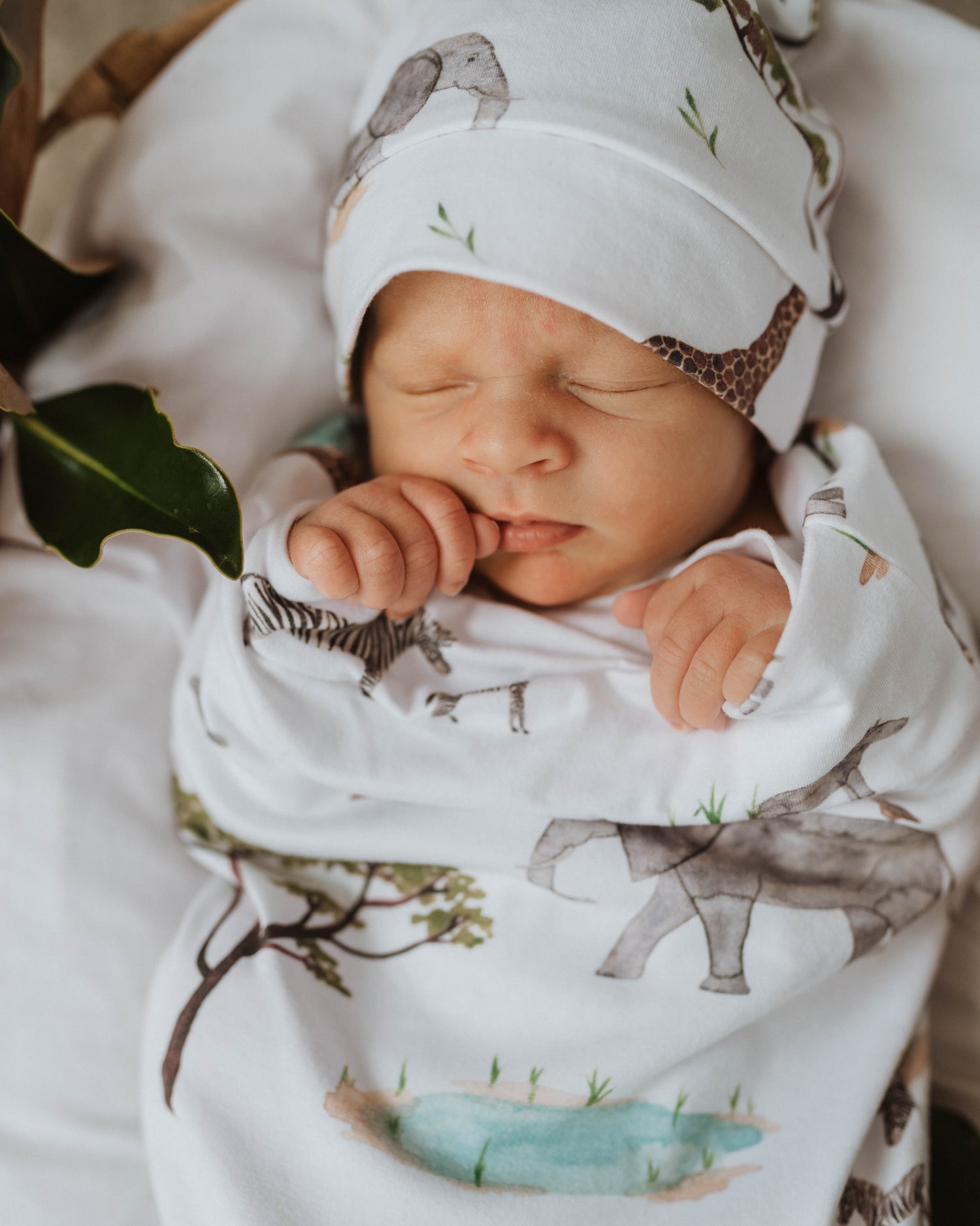 Safari Snuggle Swaddle &amp; Beanie Set