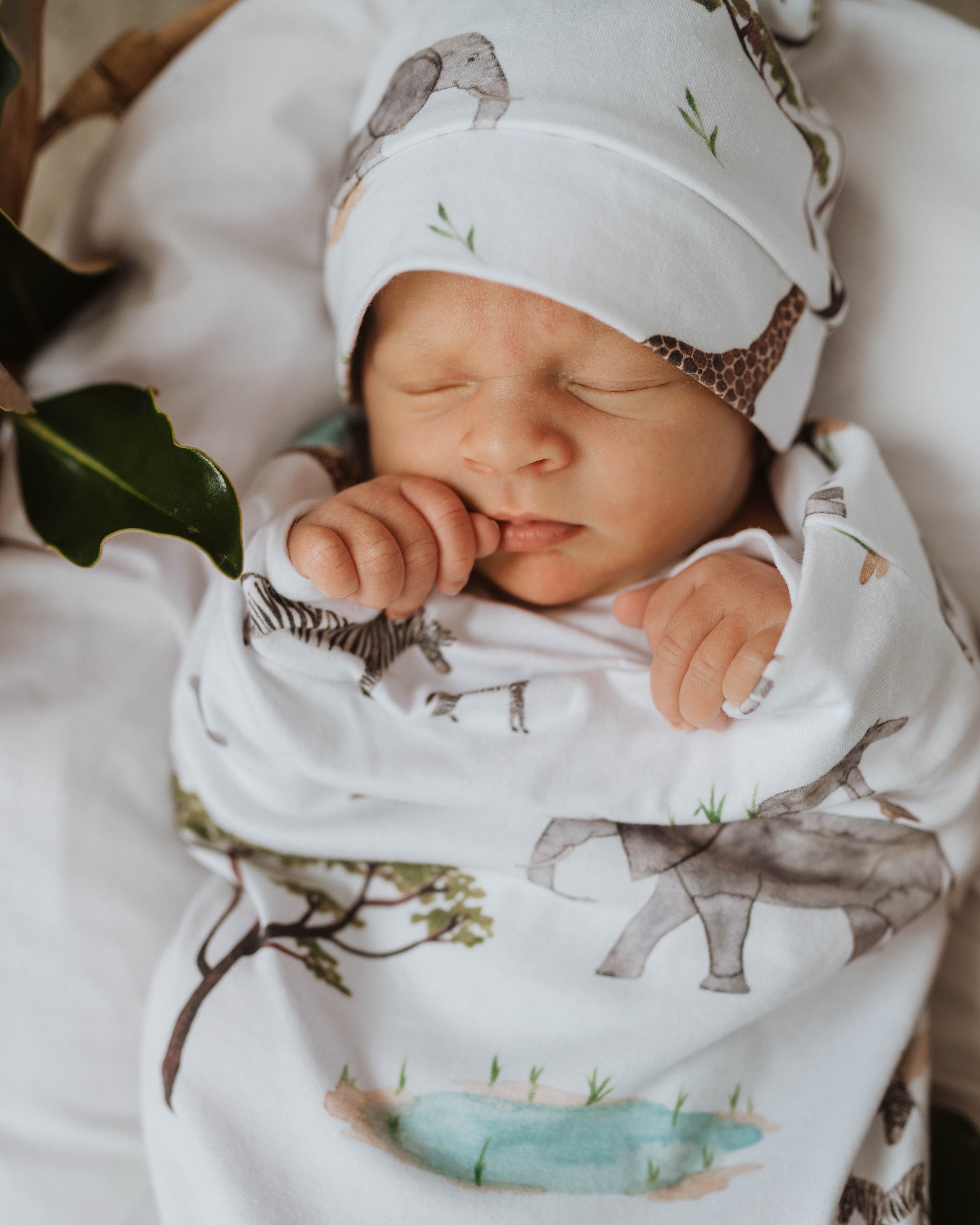 Safari Snuggle Swaddle &amp; Beanie Set