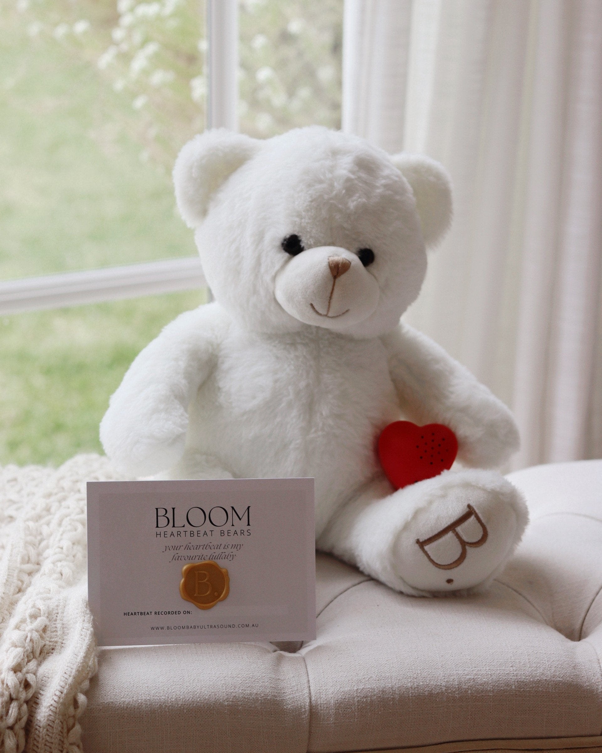 Bloom Heartbeat Bear Pregnancy Keepsake – Bloom Baby Ultrasound