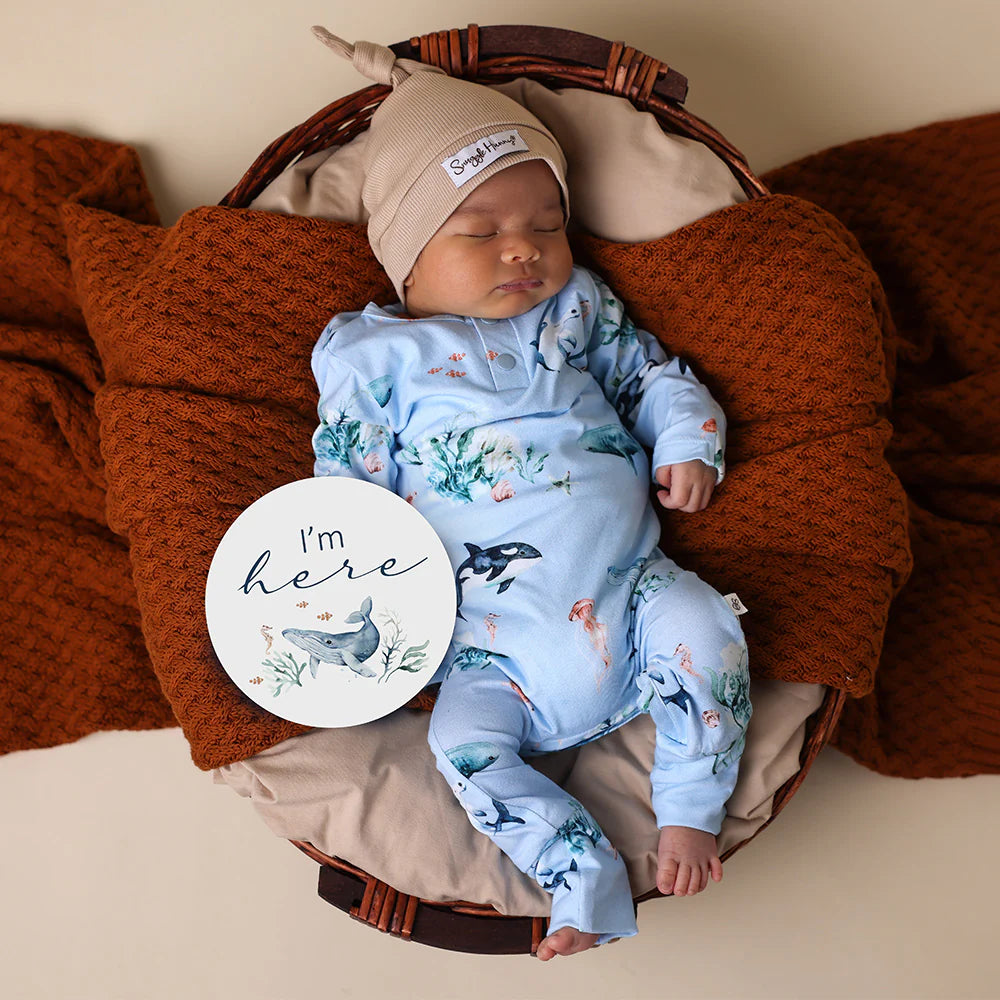 Snuggle Hunny Blue Ocean Organic Growsuit
