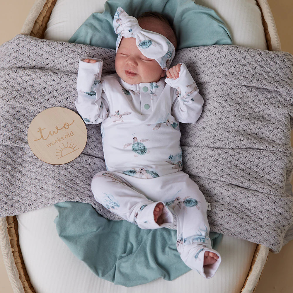 Snuggle Hunny Turtle Organic Growsuit
